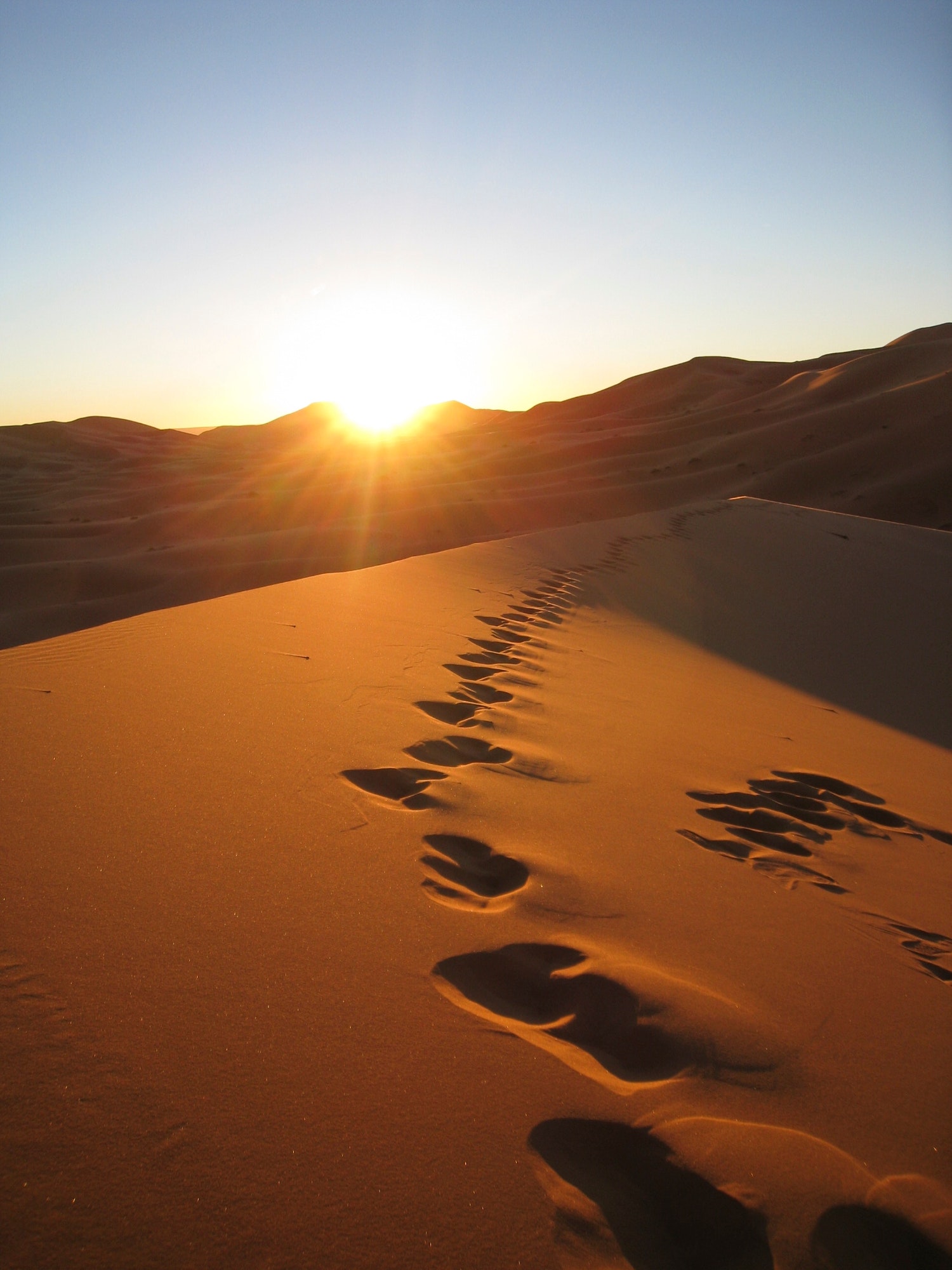 Camel footprints