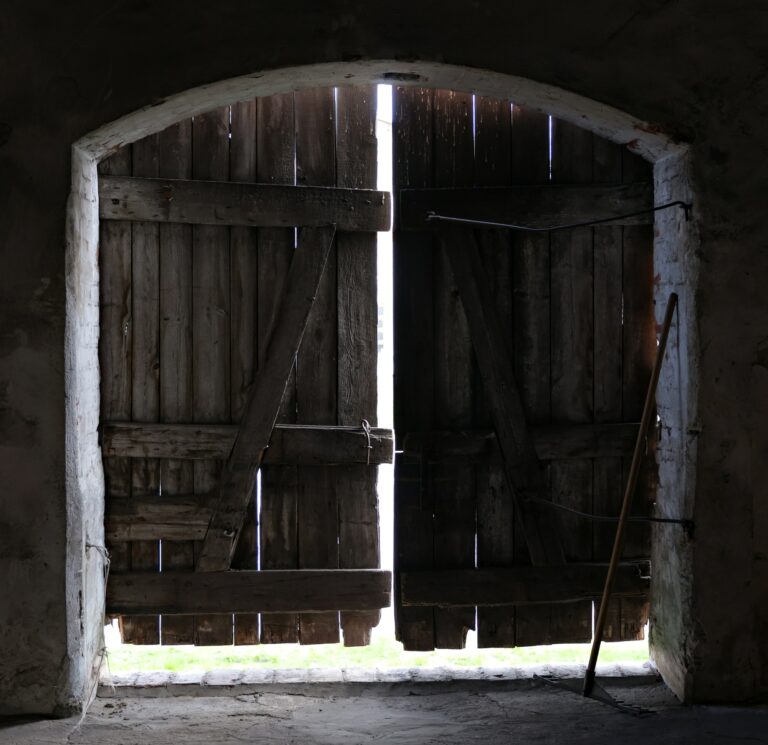 Old wooden door