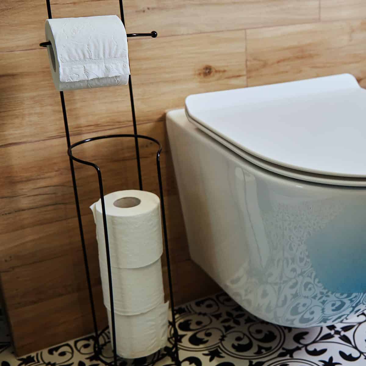 Bathroom interior with toilet bowl