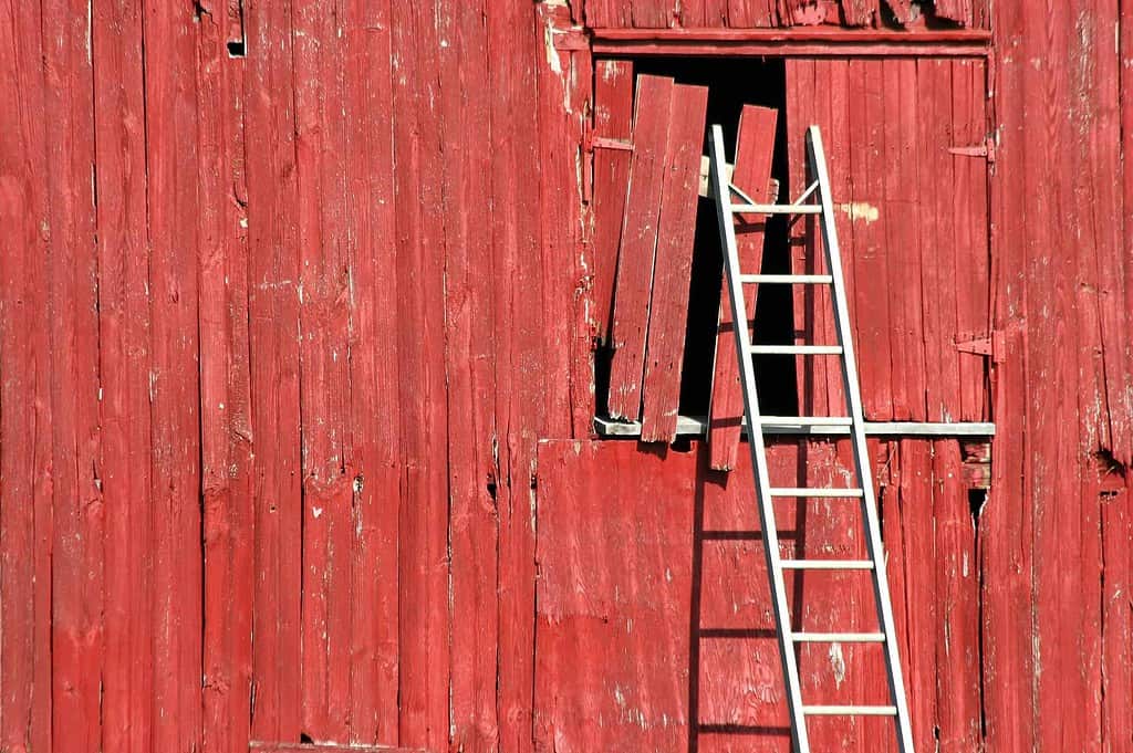 Ladder on a red barn