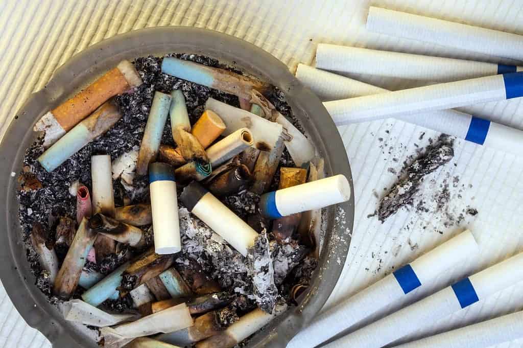 Ashtray full of cigarette butts