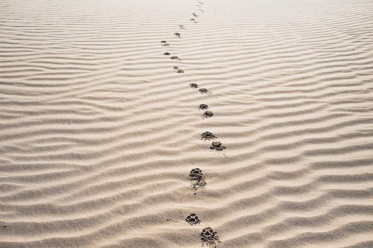 footprints on sand