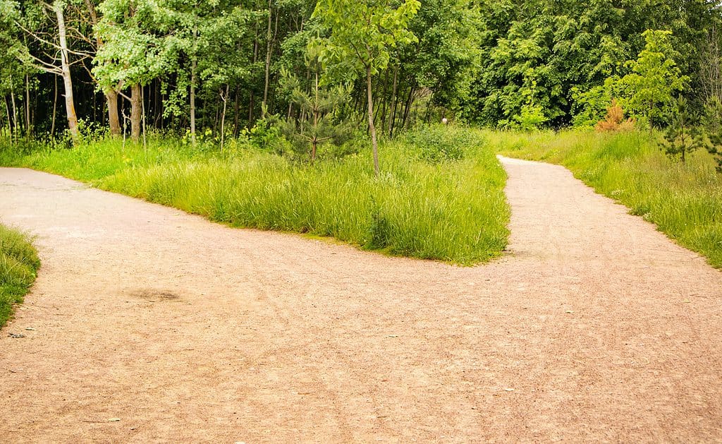 Two ways, choose the road, close-up of the forest fork