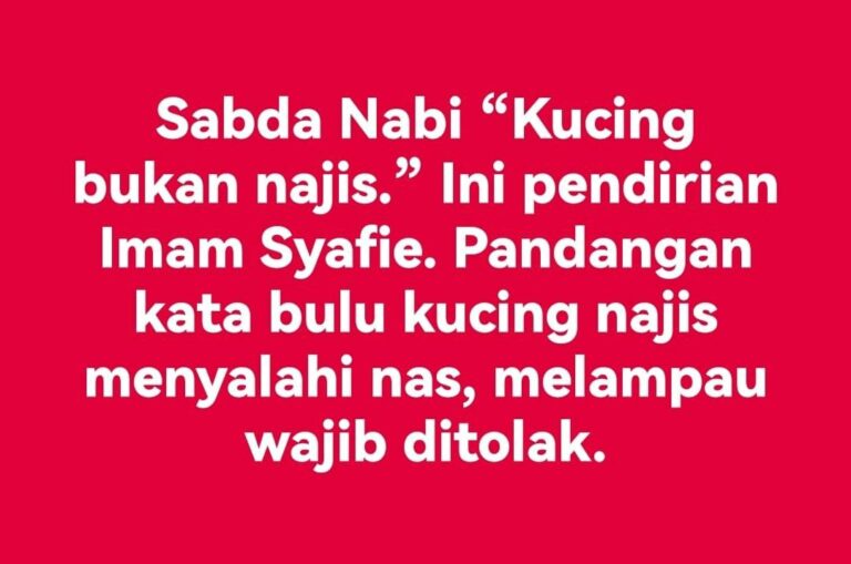 BULU KUCING BUKAN NAJIS